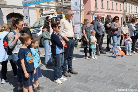 Mednarodna revija starodobnikov v Kamnik privabila ljubitelje klasičnih vozil (65)